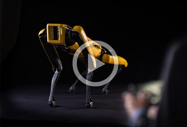 Film Friday: SPOT - Collecting data in times of crisis